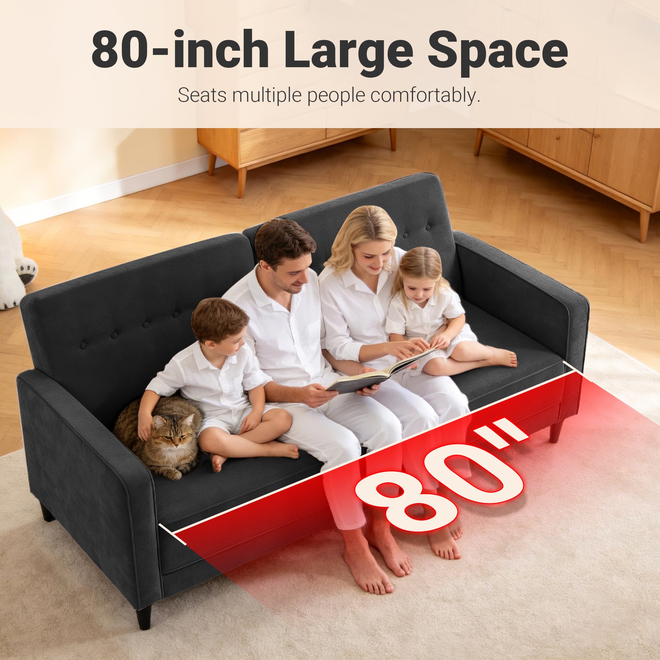 Adjustable Recliner Sofa Bed FS-01 Black